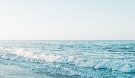 車のシートにコーヒーを大量にこぼした！匂いとカビを防ぐプロ直伝の完全対処法