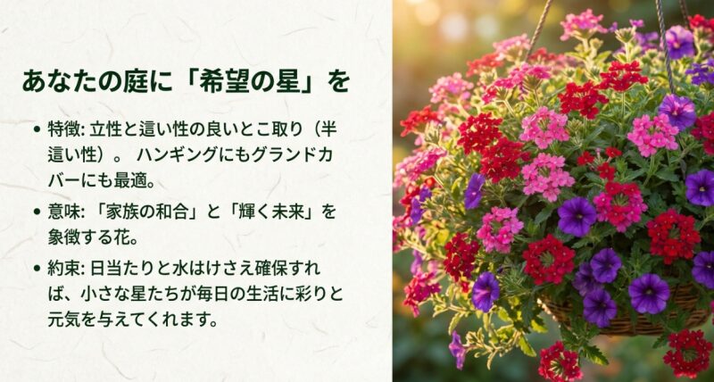 エストレラの特徴と花言葉のまとめスライド。家族の和合と輝く未来を象徴する花として、日当たりと水はけを確保すれば元気に育つことを約束するメッセージ。