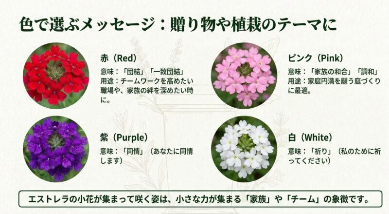 ピンク、赤、紫、白のバーベナの花の画像とともに、それぞれの色が持つ「団結」「家族の和合」「同情」「祈り」などのメッセージを紹介するスライド。