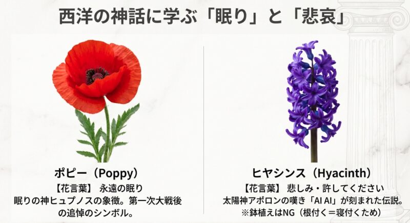 ポピーと紫のヒヤシンスの写真。ポピーの花言葉は「永遠の眠り」で、ヒヤシンスは「悲しみ・許してください」と説明されており、鉢植えがNGである旨の注意書きがある画像。