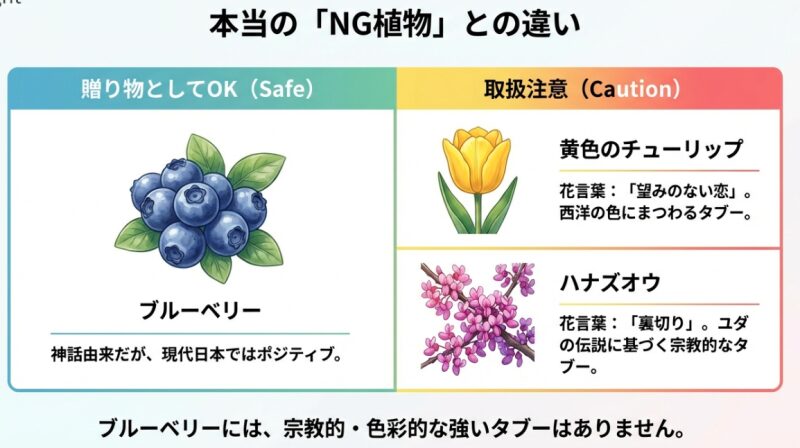 黄色のチューリップ、ハナズオウ、ブルーベリーの花言葉の由来と、プレゼントとしての適性を比較した図