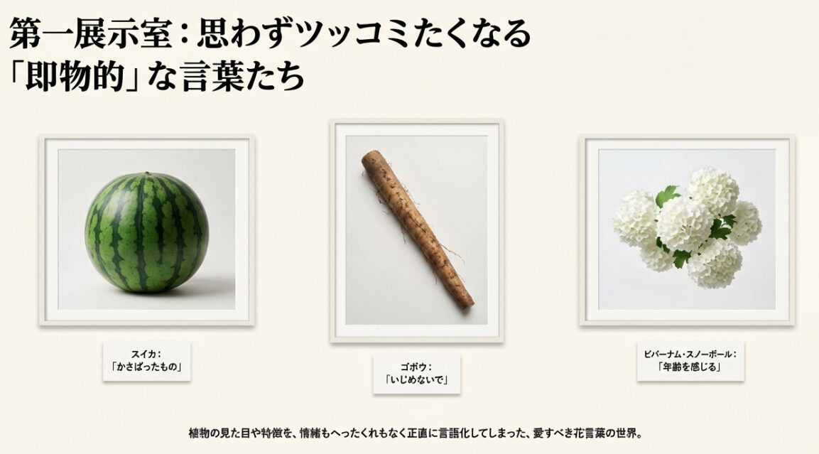 土のついたゴボウの写真。「第一展示室：思わずツッコミたくなる即物的な言葉たち」というタイトルと、ゴボウの花言葉「いじめないで」が紹介されているスライド 。