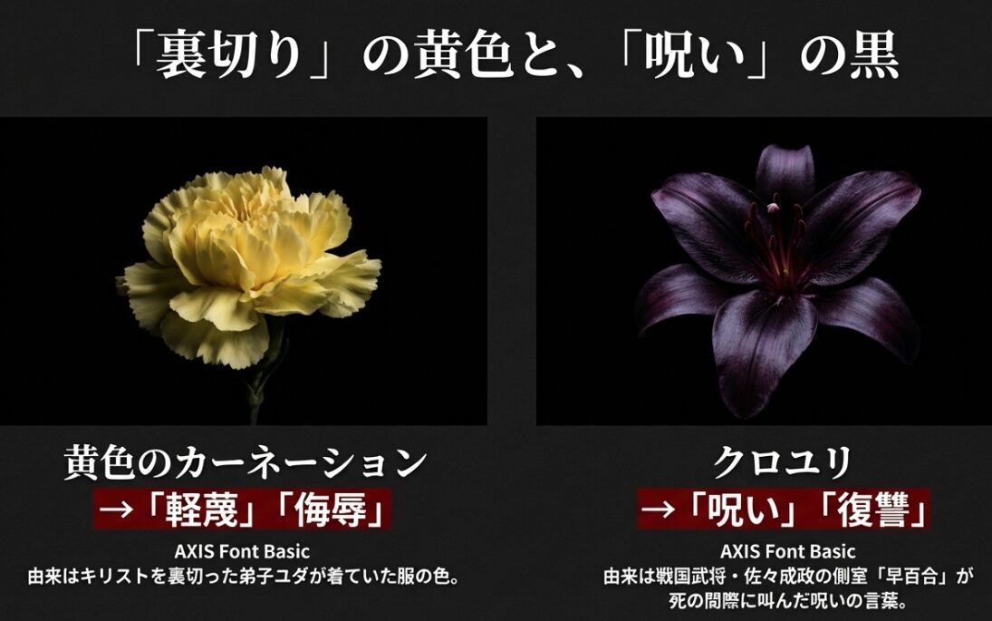 黄色いカーネーションの写真。「裏切りの黄色と、呪いの黒」というタイトル。ユダの衣の色に由来する黄色の「軽蔑」と、戦国武将・佐々成政の側室の呪いに由来するクロユリの「復讐」を紹介 。