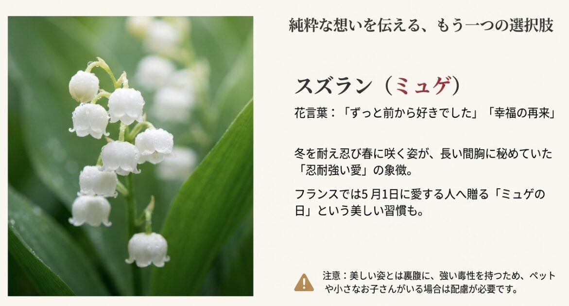 可憐なスズランのイラスト。「忍耐強い愛」や「幸福の再来」という意味を持つことを解説したスライド