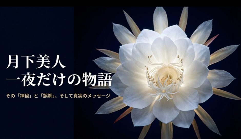 月下美人 花言葉 会いたい。月の光に照らされた月下美人の白い花と「一夜だけの物語」というタイトル文字。神秘的な雰囲気を表現したスライド表紙。