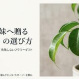 兄弟・姉妹へ贈る花言葉の選び方と感謝を物語に変えるフラワーギフト