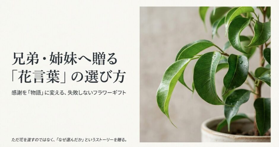兄弟・姉妹へ贈る花言葉の選び方と感謝を物語に変えるフラワーギフト