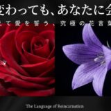 「生まれ変わっても、あなたに会いたい」というタイトルと、時を超えて愛を誓う花言葉ガイドの表紙イメージ