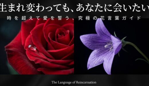 「生まれ変わってもあなたに会いたい」の花言葉は？33本のバラと怖い意味