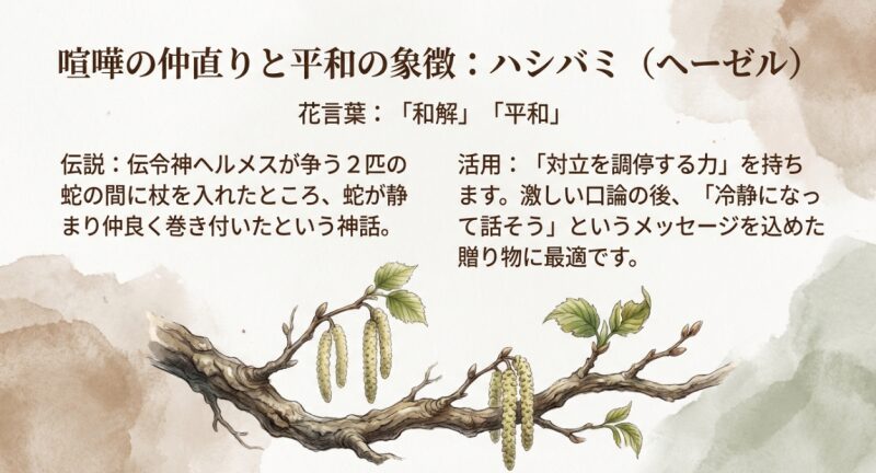 ギリシャ神話のヘルメスの杖に由来するハシバミの枝のイラストと、和解や平和を意味する花言葉の解説