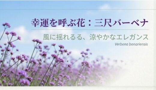 バーベナ・ボナリエンシスの花言葉は幸運！怖い意味や育て方も解説