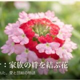 バーベナの花言葉「家族愛」と家族の絆を結ぶ花のタイトルスライド