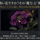 バーベナは怖い花か?魔力と後悔の正体を紐解くスライドの表紙。