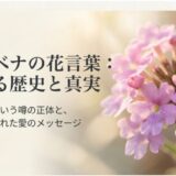バーベナの花言葉：聖なる歴史と真実、怖い噂の正体、色に秘められた愛のメッセージについての解説スライド