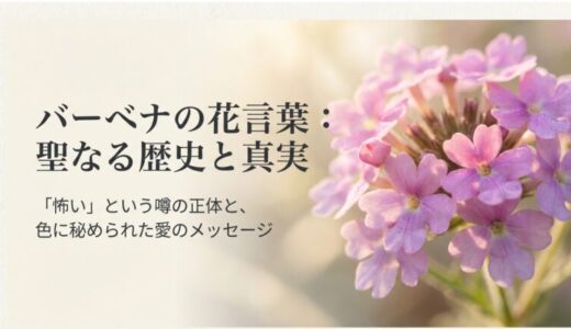 バーベナの花言葉を徹底解説！色別や由来にある魔力と魅力を深掘り