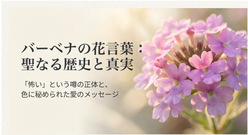 バーベナの花言葉：聖なる歴史と真実、怖い噂の正体、色に秘められた愛のメッセージについての解説スライド