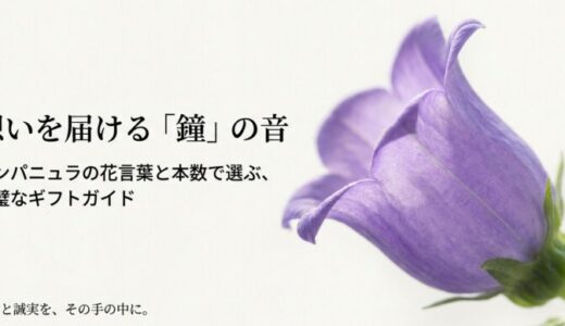 カンパニュラの花言葉と本数の意味は？感謝や謝罪を伝える為の選び方！