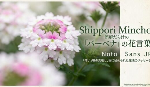バーベナの花言葉で白色の意味は？祈りの意味と色別の違いを徹底解説
