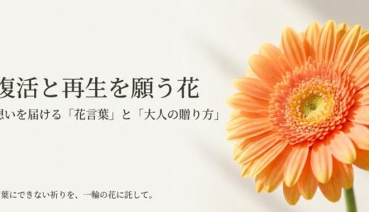 花言葉は復活や再生！快気祝いや復縁に贈りたい花5選とマナー