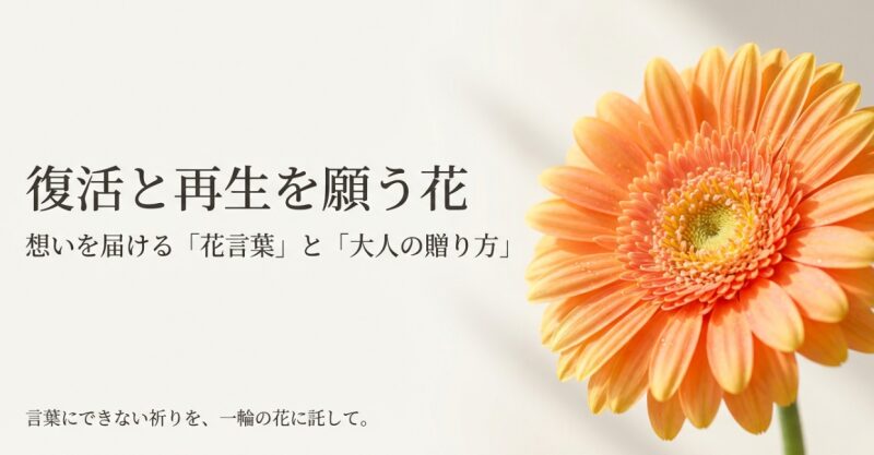 花言葉　復活