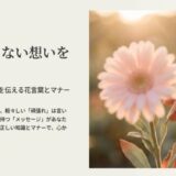 花言葉　あなたなら大丈夫