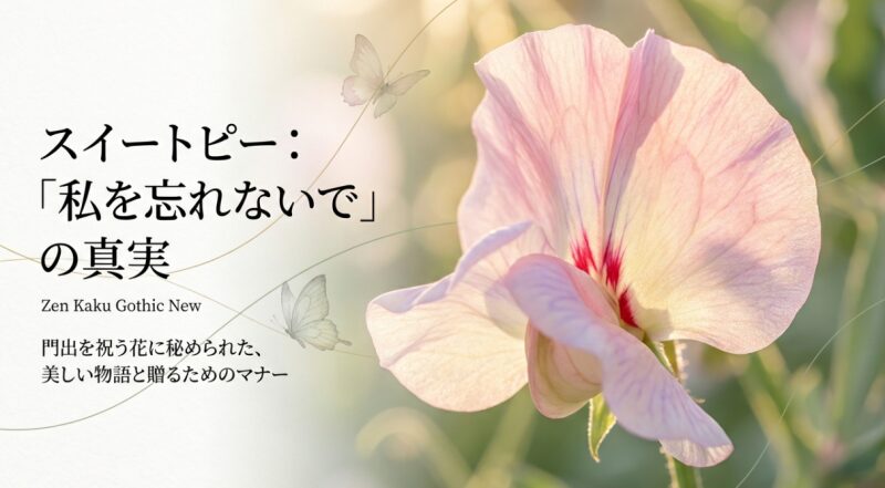 スイートピーの花言葉「私を忘れないで」に関する包括的な解説スライドの表紙。美しいスイートピーのイラスト。
