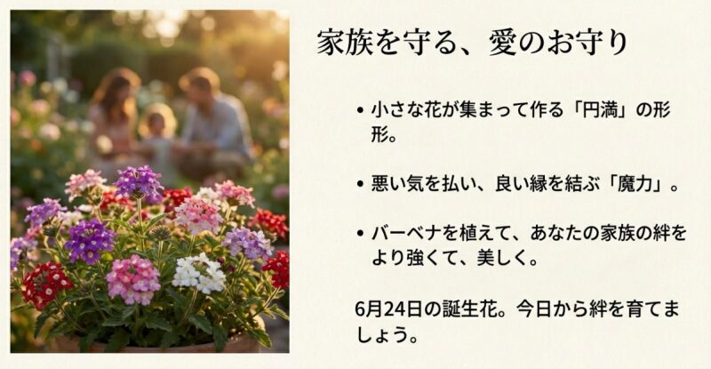 家族の団欒の背景に咲く色とりどりのバーベナ