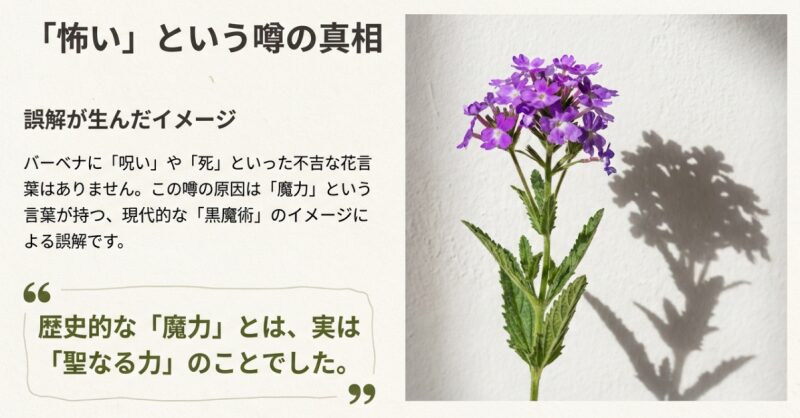 「怖い」という噂の真相。不吉な花言葉はなく、「魔力」という言葉が持つ現代的なイメージによる誤解であることを解説したスライド