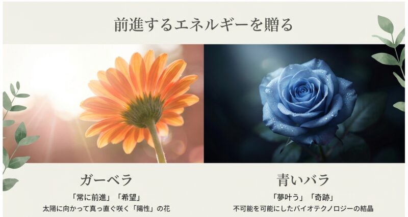 ガーベラの「常に前進」と青いバラの「夢叶う」というポジティブな花言葉と由来を紹介する解説スライド