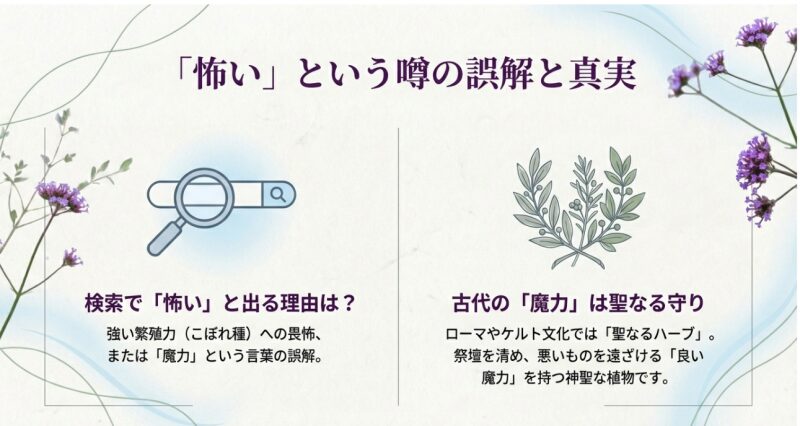 三尺バーベナが「怖い」と検索される理由と、古代の「聖なる魔力」についての解説図