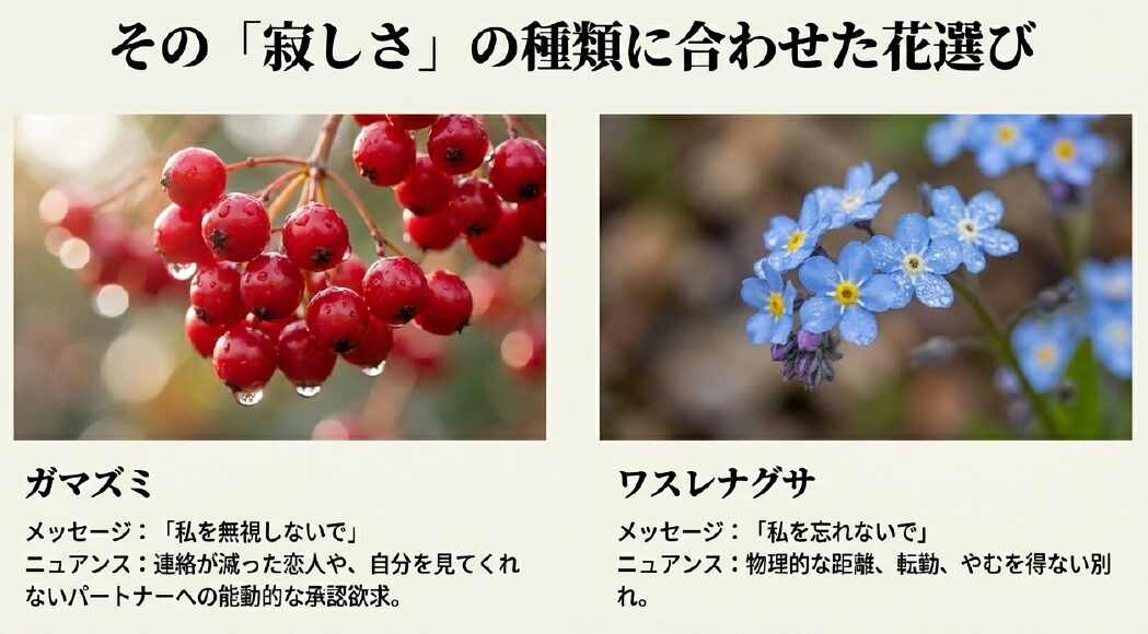 寂しさの種類に合わせた花選び。「私を無視しないで」という能動的なメッセージを持つ赤いガマズミの実と、「私を忘れないで」という物理的な別れを意味する青いワスレナグサの写真。