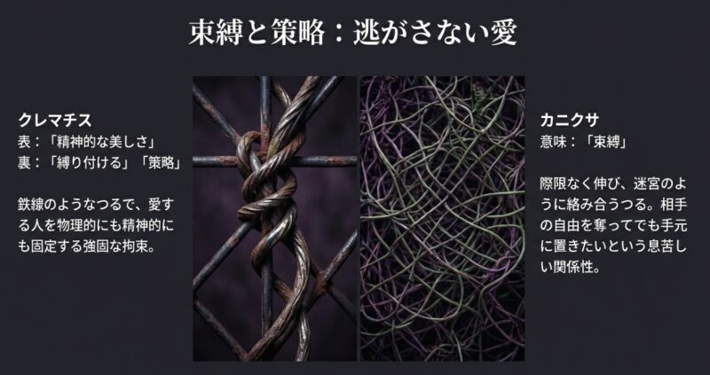 複雑に絡み合う植物のつるの背景画像。クレマチスの裏花言葉「縛り付ける」と、カニクサの「束縛」という花言葉の意味と由来を解説したスライド。