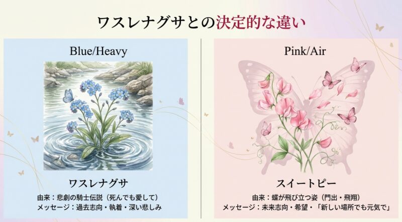 スイートピー（未来志向・門出）とワスレナグサ（過去志向・執着）の花言葉の意味や由来の違いを比較したイラスト解説。