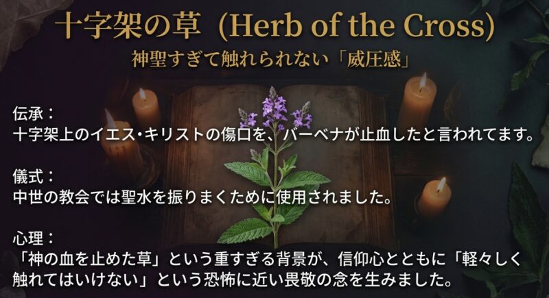 イエス・キリストの傷口を止血した伝承からバーベナが「十字架の草」と呼ばれ、畏敬の念を生んだ理由を解説するスライド。