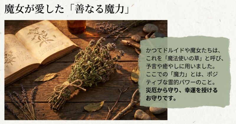 魔女が愛した「善なる魔力」。ドルイドや魔女が予言や癒やしに用いたポジティブな霊的パワーについての解説