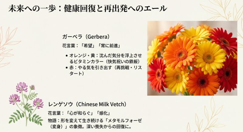 健康回復と再出発へのエール。ガーベラ（希望・常に前進）の色別の意味と、レンゲソウ（心が和らぐ）の物語解説。