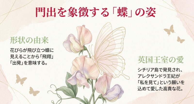 スイートピーの花びらが飛び立つ蝶に見えることから「門出」や「飛翔」を意味するようになった由来のイラスト。