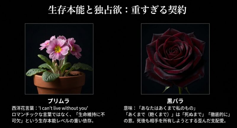 プリムラと黒いバラの写真。プリムラの「あなたなしでは生きられない」という生存本能レベルの依存と、黒いバラの「あくまで私のもの」という支配的な愛を対比させた解説。