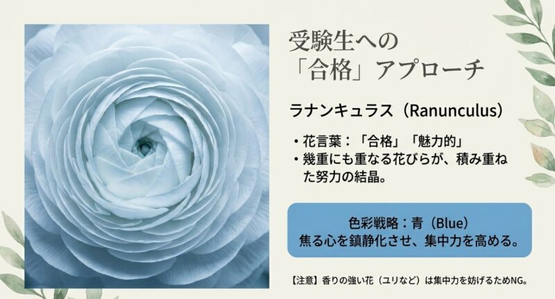 ラナンキュラスの花言葉「合格」の由来と、受験生への色彩戦略として青色が効果的であることを解説したスライド