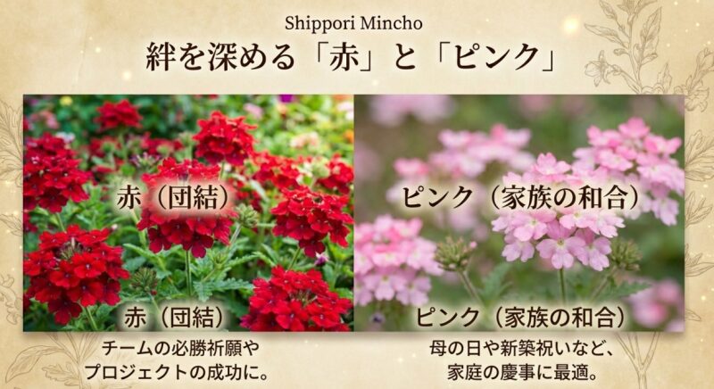 赤いバーベナ(団結)はチームの必勝祈願、ピンクのバーベナ(家族の和合)は母の日や家庭の慶事に最適であることを示すスライド。