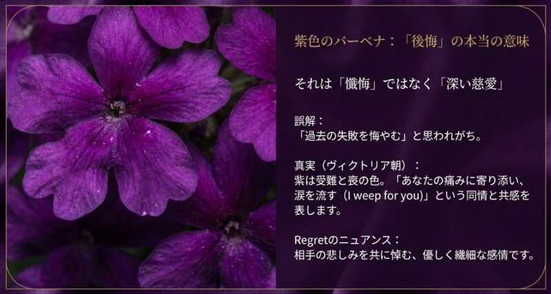 紫色のバーベナの花言葉「後悔」が、実は相手の痛みに寄り添う「深い慈愛（I weep for you）」を意味することを解説するスライド。