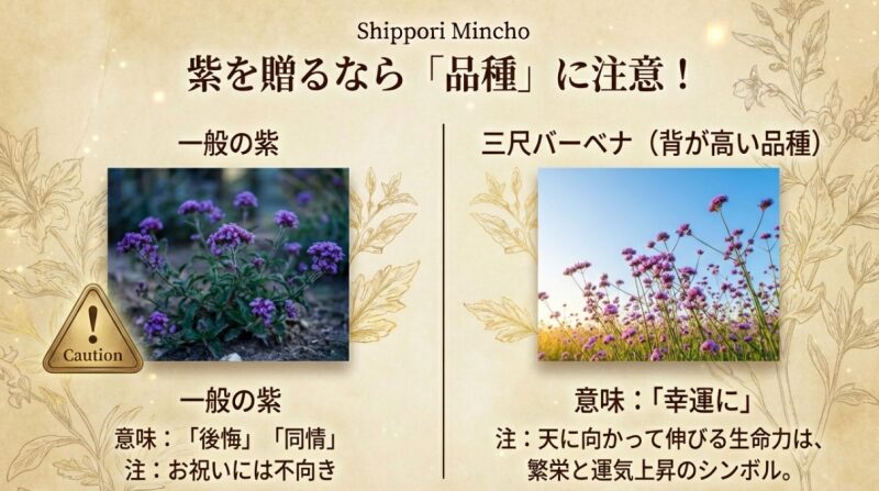 一般的な紫のバーベナ(後悔・同情)と、背の高い三尺バーベナ(幸運)の意味の違いを比較し、品種選びの重要性を警告するスライド。