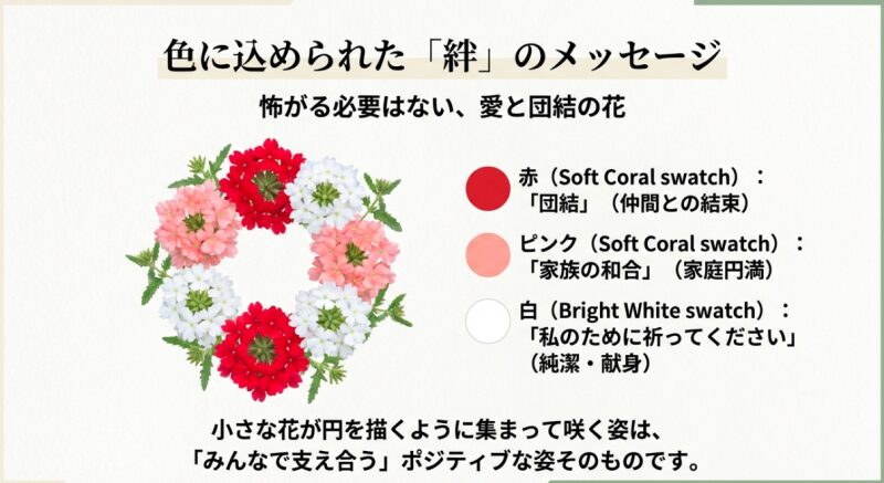 赤・ピンク・白のバーベナが持つ団結や和合などのポジティブな意味と、支え合って咲く姿の関係を示すスライド。