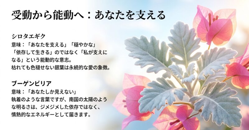 「あなたを支える」シロタエギクと、「あなたしか見えない」ブーゲンビリアを紹介。受動的な依存から能動的な支え合いへの変化を解説した資料。