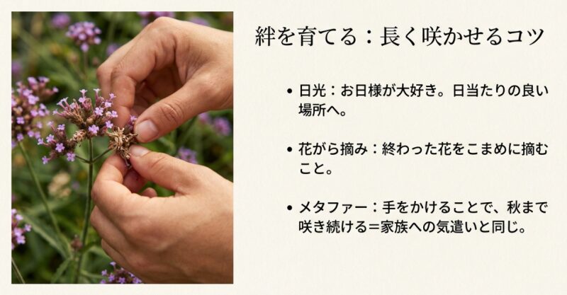 バーベナの花がらを摘む手元の写真