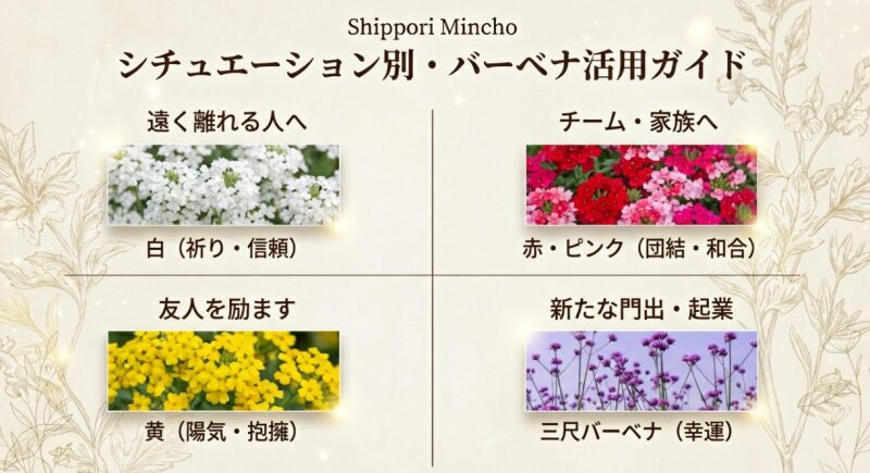 遠く離れる人へは白、チームには赤、友人には黄色など、相手とシチュエーションに合わせたバーベナの色の選び方をまとめた図。