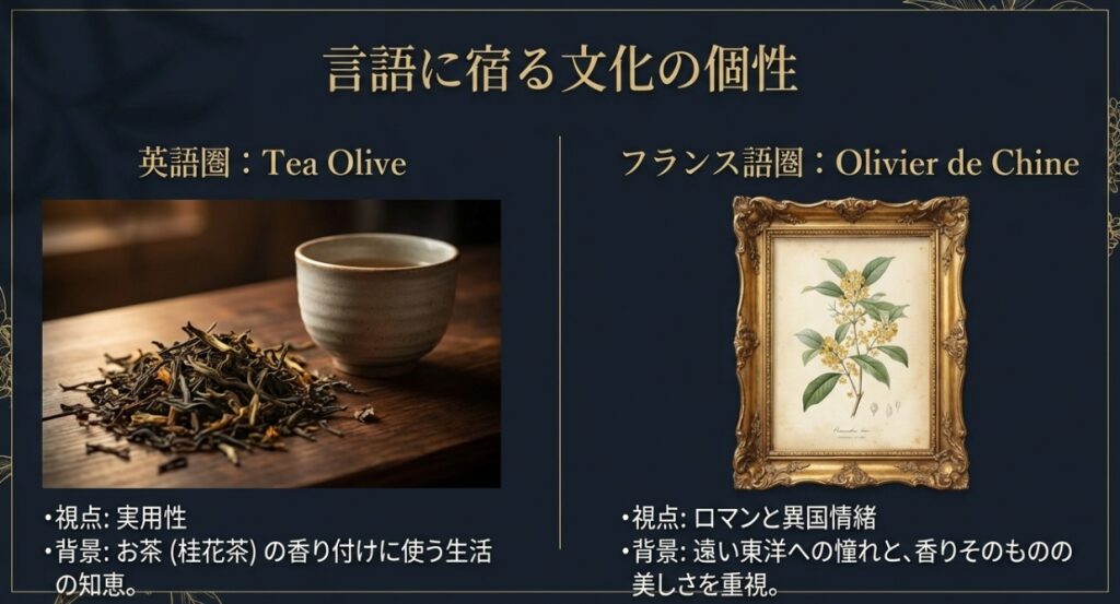 実用性を重視する英語圏のTea Oliveと、異国情緒を愛するフランス語圏のOlivier de Chine