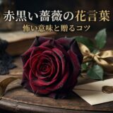 赤黒い薔薇　花言葉