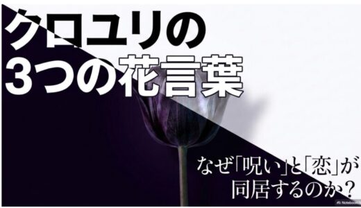 クロユリの花言葉3つ（恋・呪い・復讐）の意味と怖い伝説を解説