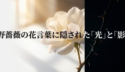 野薔薇の花言葉が「怖い」と言われる理由！ゲーテの詩と意外な由来